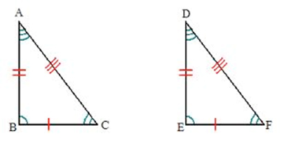 parts of congruent triangles worksheet answers