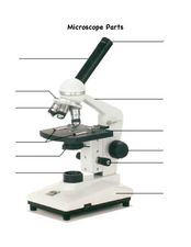 parts of the microscope worksheet