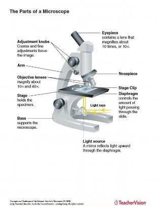 parts of the microscope worksheet