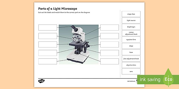 parts of the microscope worksheet