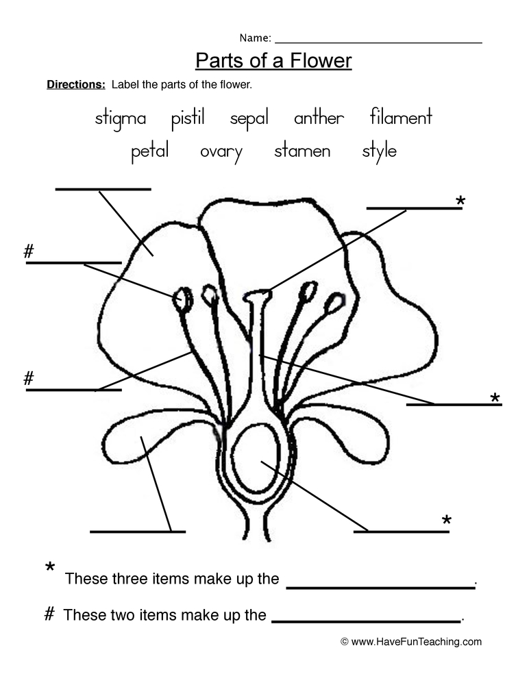 parts of the plant worksheet