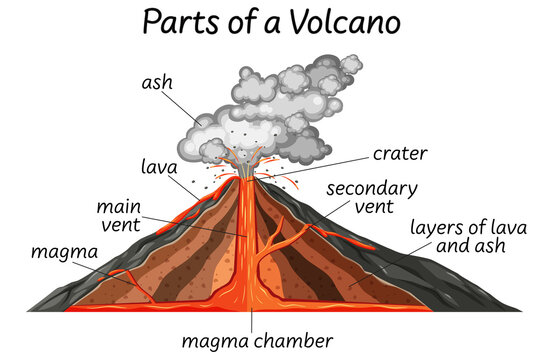 Volcano Diagram Images - Browse 1,214 Stock Photos, Vectors, and ...