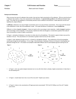 passive and active transport worksheet