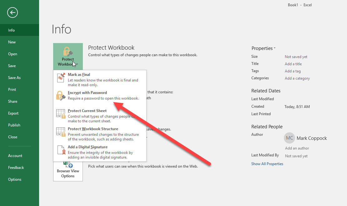 How to password-protect an Excel file on Windows and Mac | Digital ...