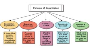 pattern of organization worksheet