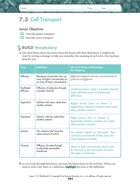 Chapter 7.3 &   7.4 Study Guide Answers