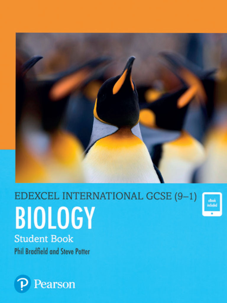 pearson education biology worksheet answers