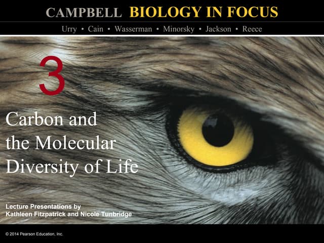 pearson education biology worksheet answers