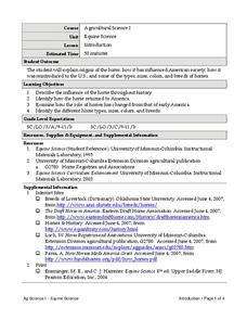 pearson education history worksheet answers