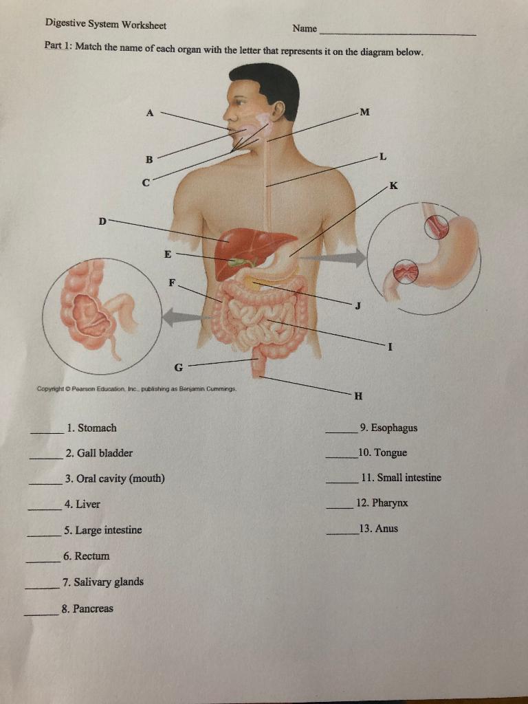 pearson education inc worksheet