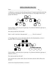 Pedigree Analysis - Name: Danielle Wilder Pedigree Analysis ...