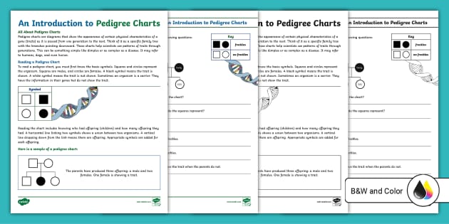 pedigree chart worksheet