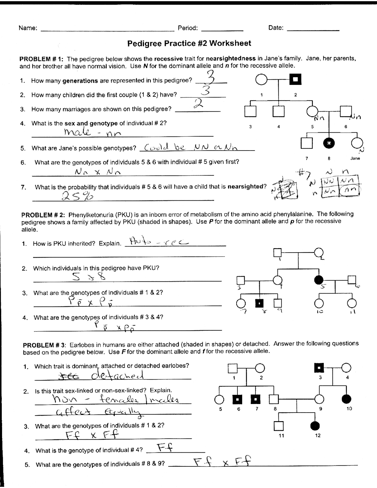 Worksheet Pedigree Practice with Answer Key | Exercises Genetics ...