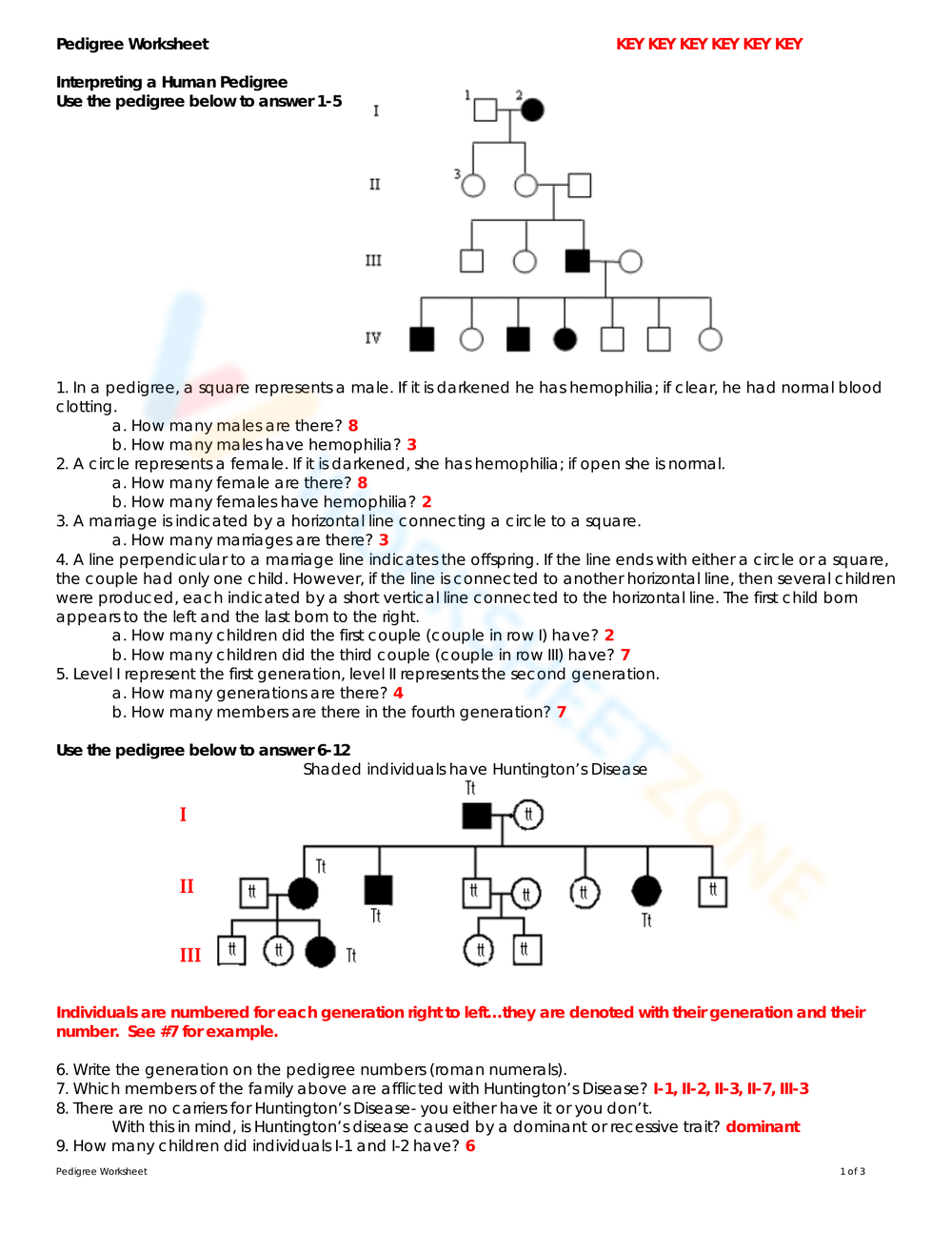 Free Printable Pedigree Worksheet Answers for Students