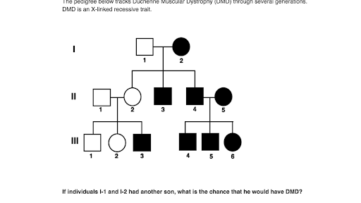 Pedigrees (practice) | Classical genetics | Khan Academy