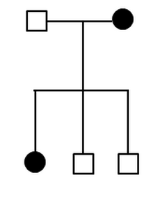 Quiz &  Worksheet - Pedigree Analysis Practice | Study.com