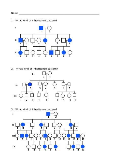 Pedigree worksheet answers
