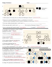 Pedigree Worksheet.pdf - Pedigree Worksheet Name I II 1 2 1 2 4 5 ...