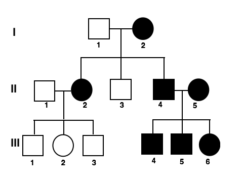 pedigree worksheet middle school