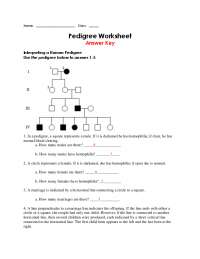 Pedigree Worksheet with Answer Key | Exercises Genetics | Docsity