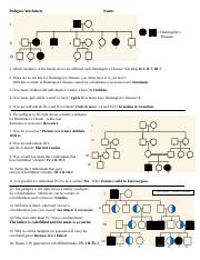 pedigree worksheet.docx - Pedigree Worksheet Name I II 1 2 1 2 4 5 ...