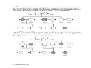 Autosomal Pedigrees Worksheet Worksheet for 7th - 10th Grade ...