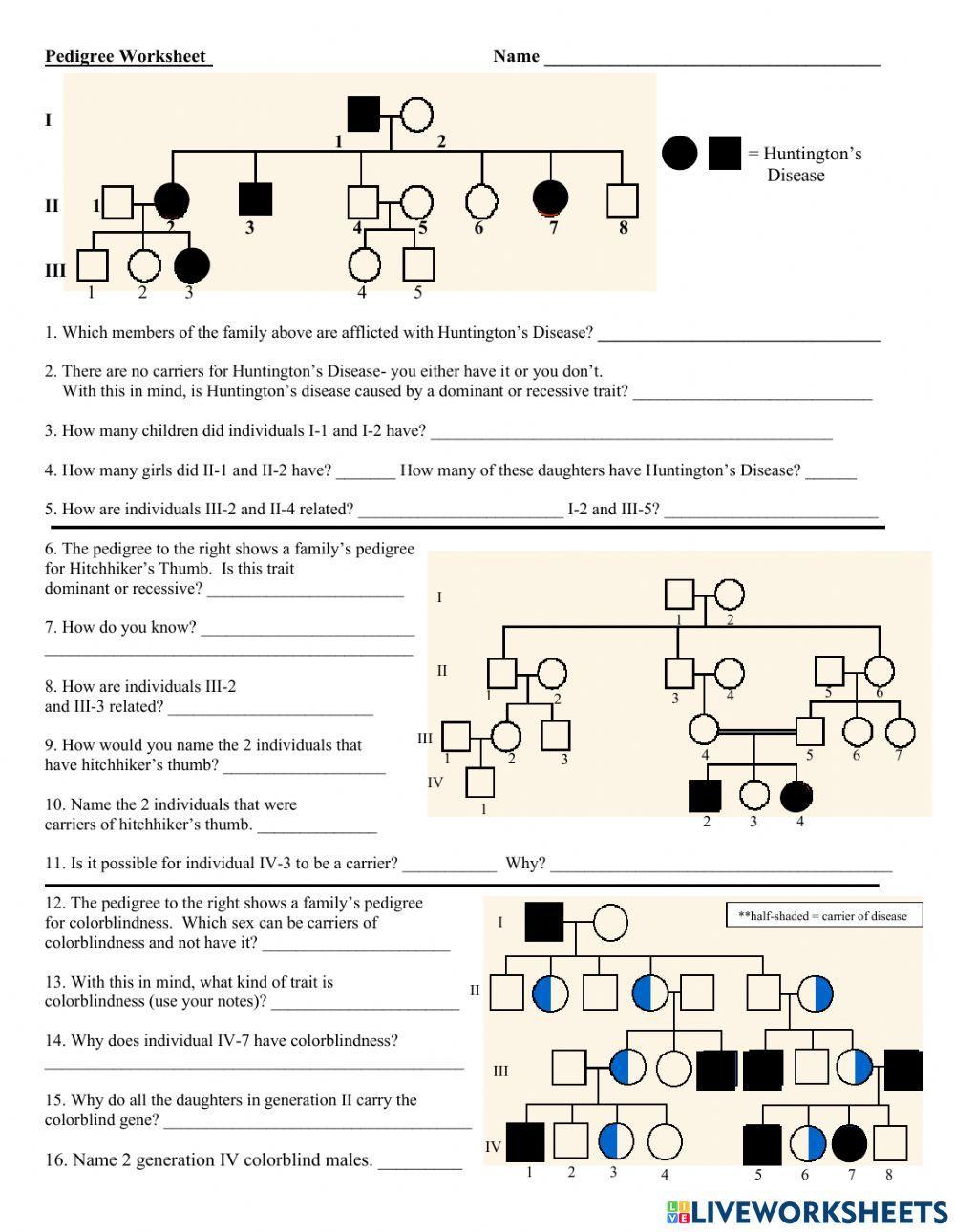 Pedigree worksheet  