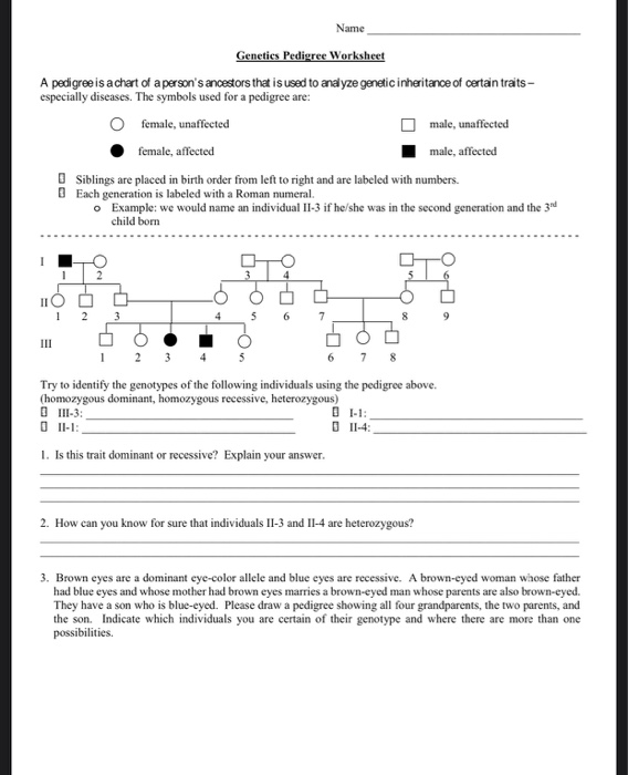Solved Name Genetics Pedigree Worksheet A pedigree is a | Chegg.com