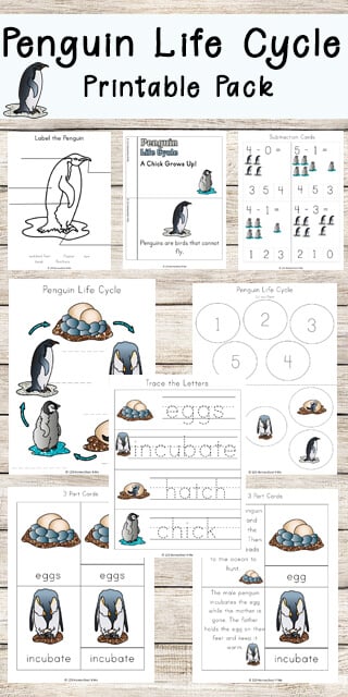 penguin worksheet for kindergarten