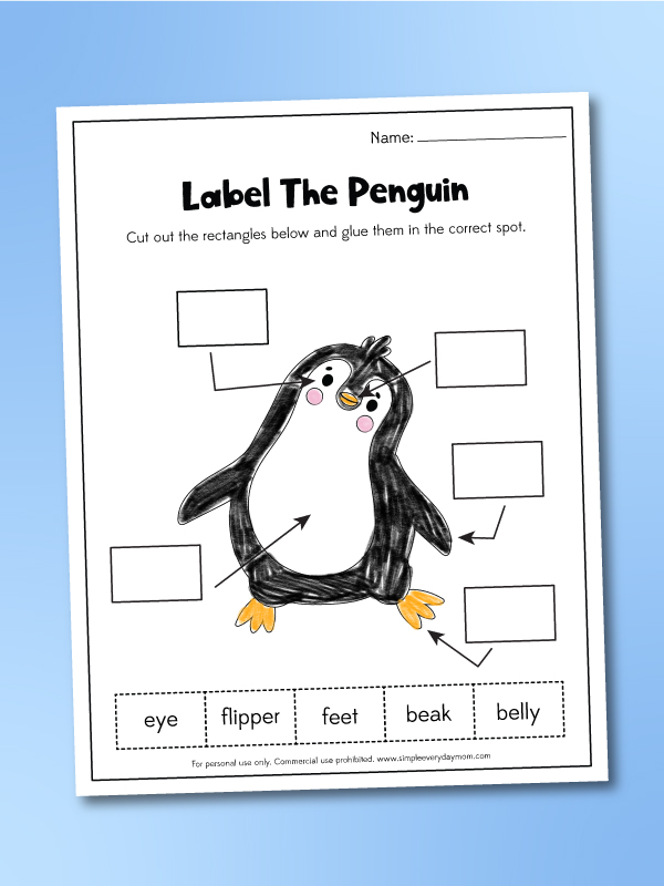 Penguin Worksheets For Kids [Free Printable]