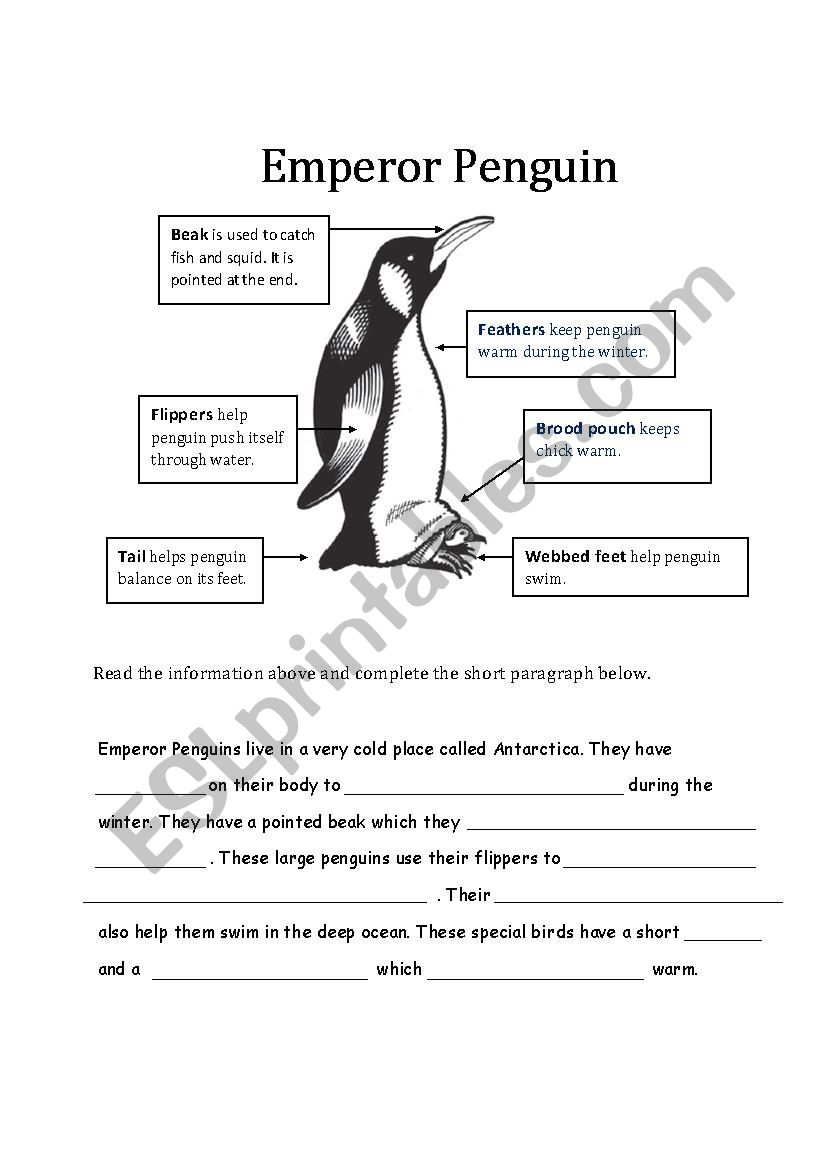 Trace the penguins Worksheet - Twisty Noodle