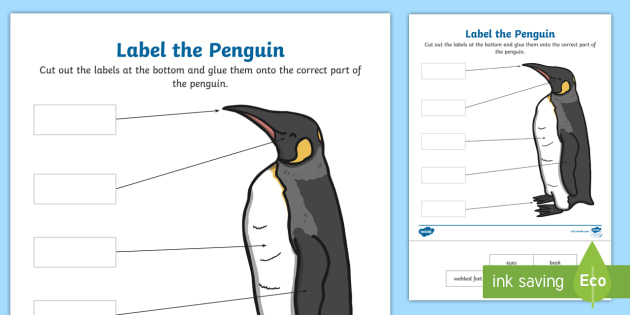 Label the Penguin Worksheet (Lehrer gemacht) - Twinkl
