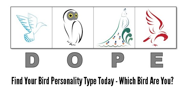 Personality Test Results Tracker, Fillable PDF Worksheet to Organize Your  Personality Assessment Results in One Place, Coaching Resource