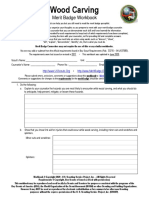 pet merit badge worksheet
