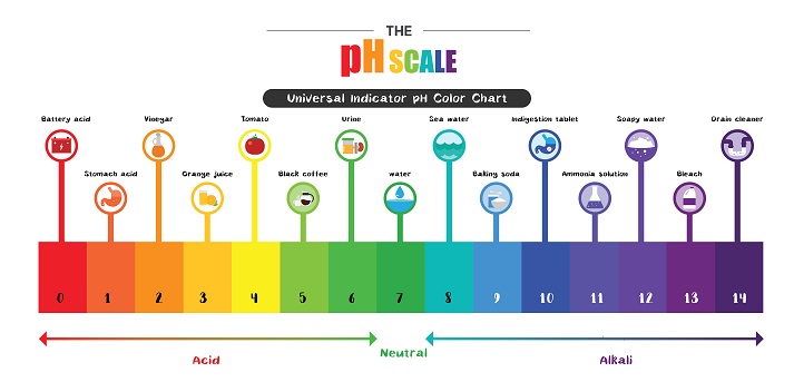 What in the World Is a pH Scale? Educational Resources K12 ...