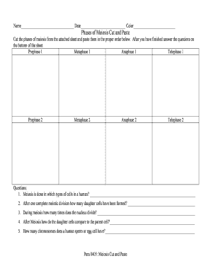 Phases Of Meiosis Cut And Paste Answer Key - Fill Online ...