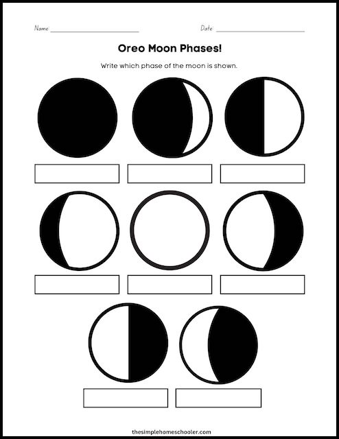 phases of the moon for kids worksheet