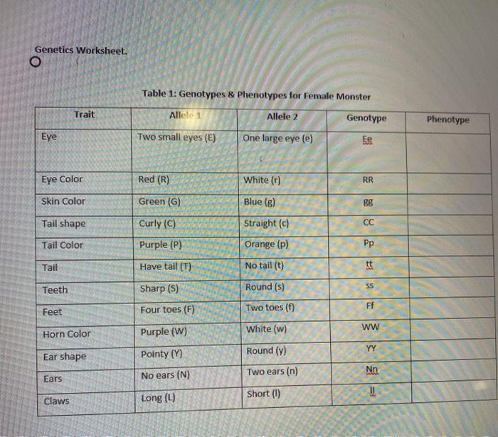 Solved Genetics Worksheet. o Table 1: Genotypes &  Phenotypes ...