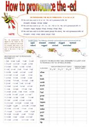 phonetics worksheet