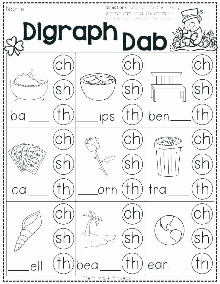 25 1st Grade Phonics Worksheets Pdf 308