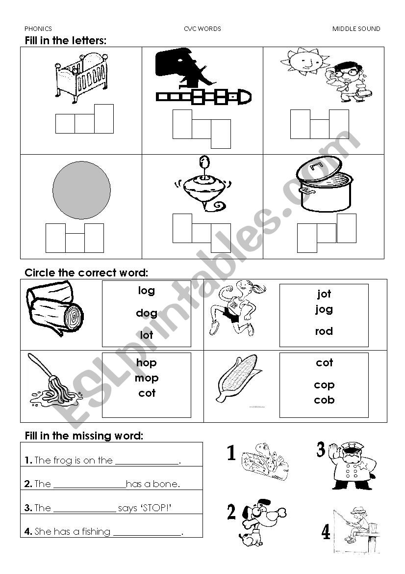 Phonics Worksheet (A and O middle sound) - ESL worksheet by Miss De
