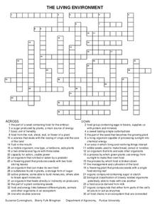 photosynthesis crossword puzzle worksheet