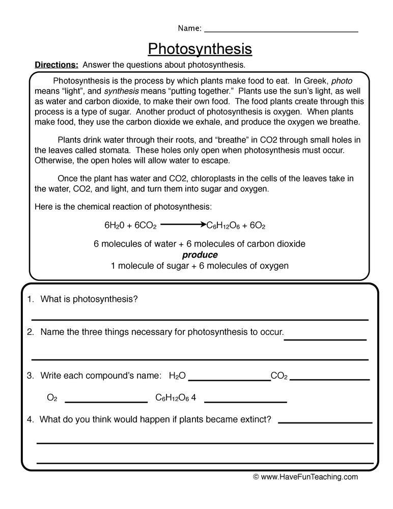 Photosynthesis Reading Worksheet  