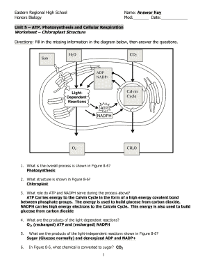 Photosynthesis and Cellular Respiration Worksheet: Complete with ...