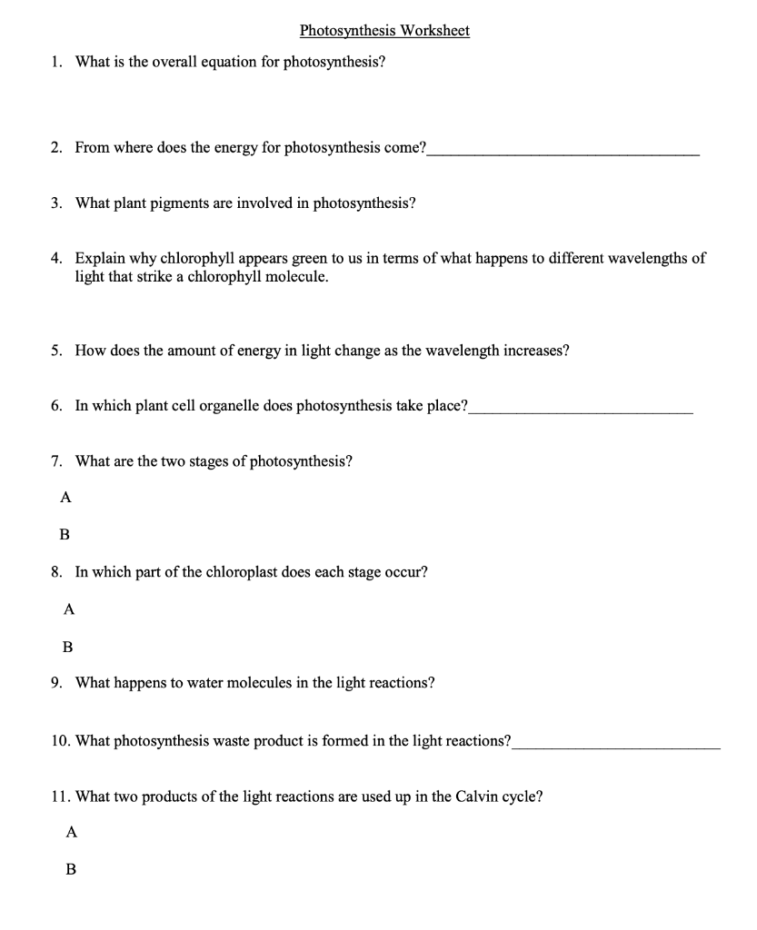 Solved Photosynthesis Worksheet 1. What is the overall | Chegg.com