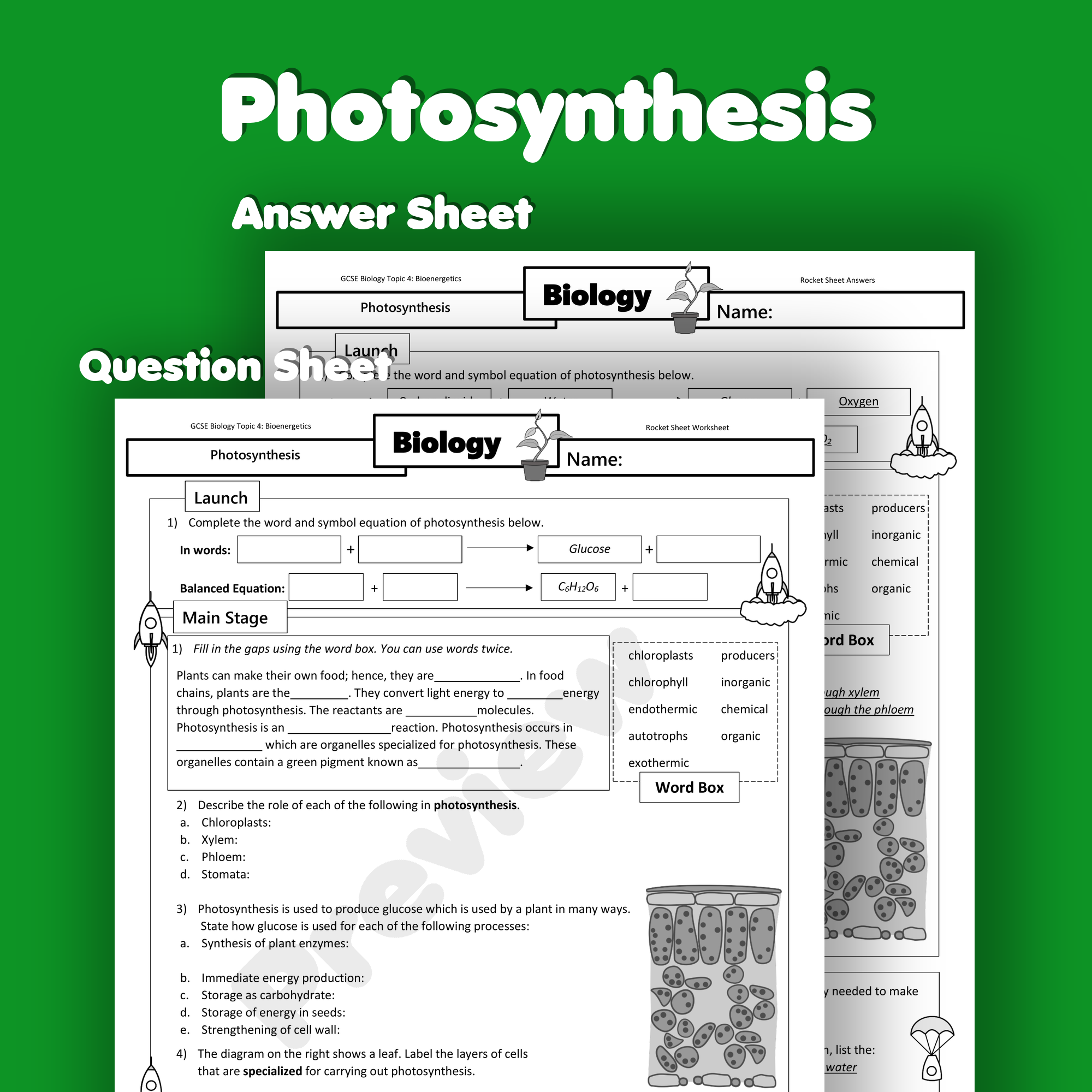 Photosynthesis Home Learning Worksheet GCSE
