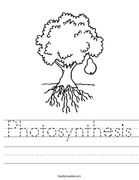 photosynthesis for kids worksheet