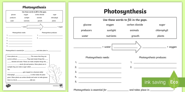 photosynthesis interactive worksheet