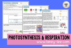 Photosynthesis And Cellular Respiration Worksheet with Answers