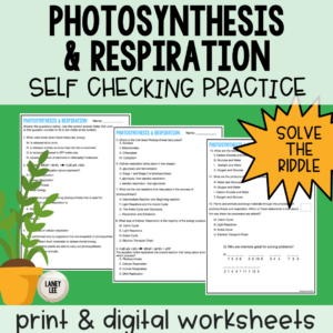 photosynthesis practice worksheet answers